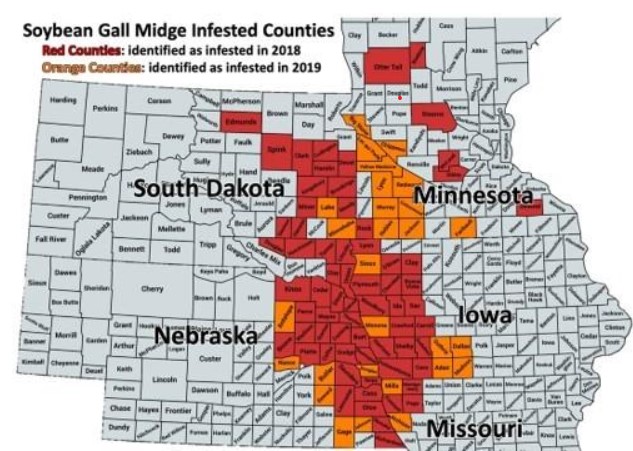 Midge Map-UNL