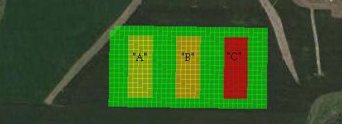 Trial Layout