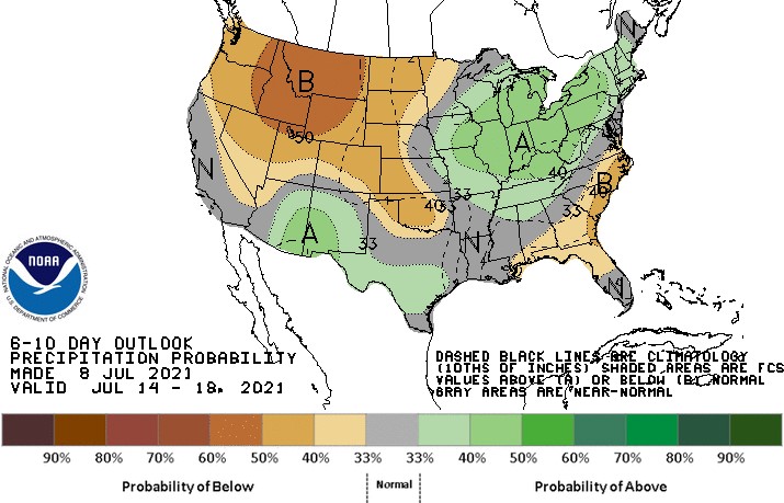 Precipitation Forecast